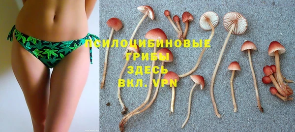 гашишное масло Белокуриха