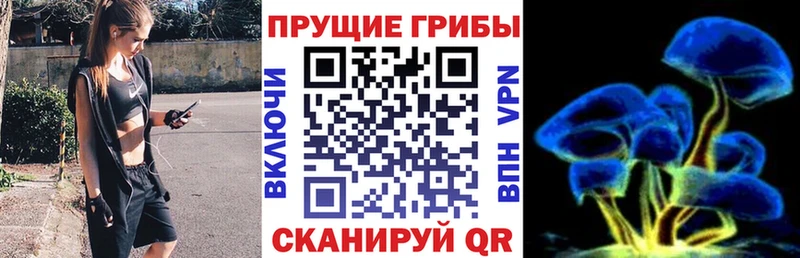 Галлюциногенные грибы мухоморы  даркнет сайт  Советский 