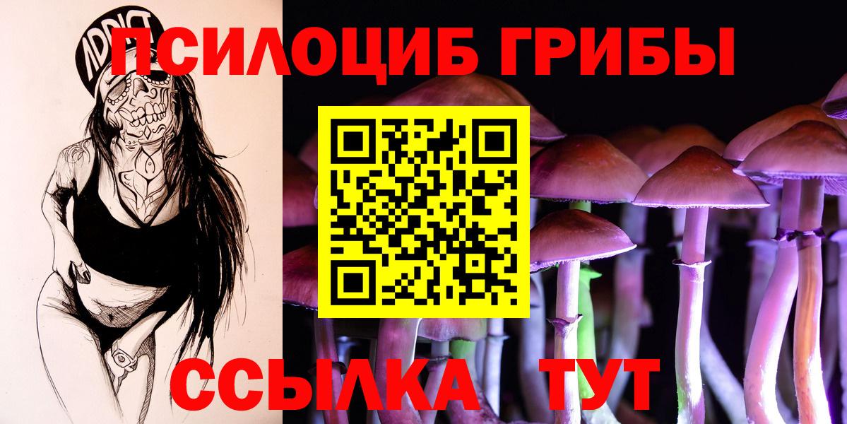 где купить наркотик  Советский  Псилоцибиновые грибы MAGIC MUSHROOMS  Галлюциногенные грибы Magic Shrooms 